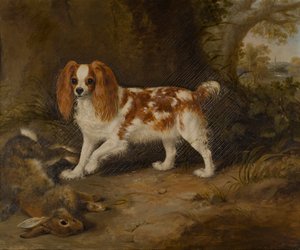 Uno spaniel con una lepre morta da Thomas W. Bretland