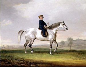 Master Edward Humphries sul suo pony grigio da Thomas Weaver
