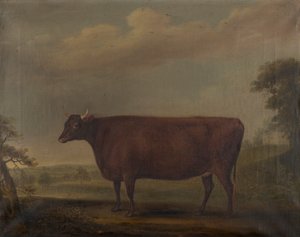 Giovenche rosse del Devon nel paesaggio da Thomas Weaver