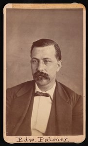 Ritratto di Edward Palmer 1829-1911, prima del 1900 da Thomas William Smillie