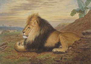 Un leone da Thomas William Wood
