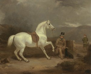 Pony da caccia grigio, probabilmente di proprietà di Johnston King, con un groom da Thomas Woodward
