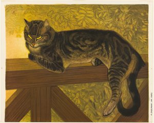 Estate: Gatto sulla balaustra