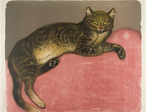 Inverno: Gatto su un cuscino