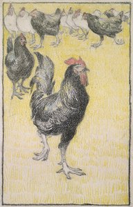 Gallo, seguito da galline bianche e nere da Théophile Alexandre Steinlen