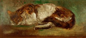 Th. A. Steinlen, Gatto che dorme