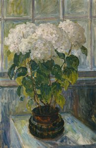 Ortensia da Thorolf Holmboe