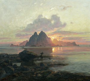 Phalacrocorax aristotelis nel sole di mezzanotte da Thorolf Holmboe