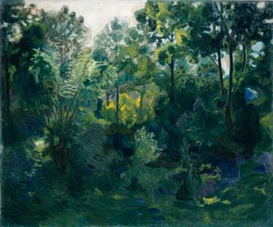 Interno della foresta