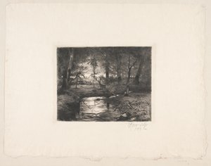 Aa nella foresta di Borrevejle
