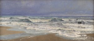 Giornata nuvolosa al Mare del Nord con onde da Thorvald Niss