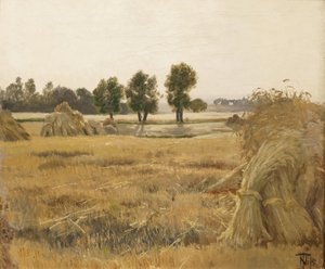 Campo con covoni di grano da Thorvald Niss