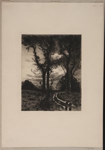 Strada dissestata tra gli alberi da Thorvald Niss