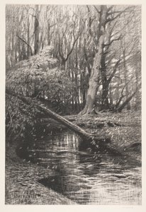 Paesaggio boschivo con un ruscello da Thorvald Niss