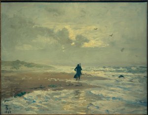Vista della spiaggia. Grenen vicino a Skagen