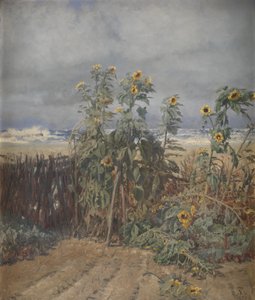 Girasoli su una spiaggia