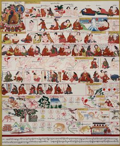 Manoscritto sulla medicina tibetana