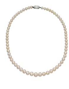 Collana a filo singolo da Tiffany and Company