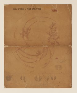 Studio per ciotola da punch in stile giapponese da Tiffany and Company