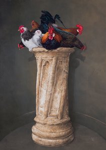 Galline, occhi bassi da Tim Hayward