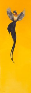 Volare; Giallo