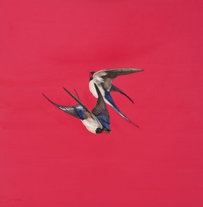 Vortice-Rosso da Tim Hayward