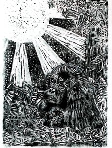 La famiglia dei gorilla della giungla da Tim Hoinkis