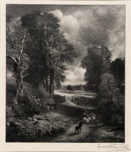 Campo di grano da Timothy Cole