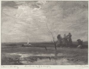 Bassi Fondi da Timothy Cole after John Francis Murphy