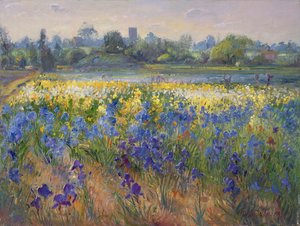 Foschia blu a Burgate, 1993
