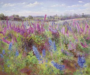 Campo di delphinium e chiesa da Timothy Easton