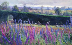 Zappare contro la siepe, 1991 da Timothy Easton