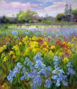Squadra di Zappatori e Campi di Iris da Timothy Easton