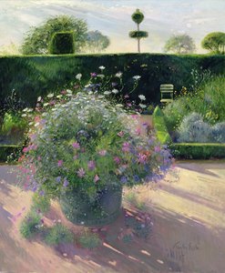Ultimi raggi intorno al rame da Timothy Easton