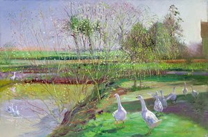 Salice e oche da Timothy Easton