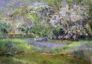Alveari nel bosco da Timothy Easton