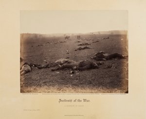 Incidenti di guerra: un raccolto di morte