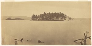 [Istmo di Darién (Panama)] da Timothy H. O