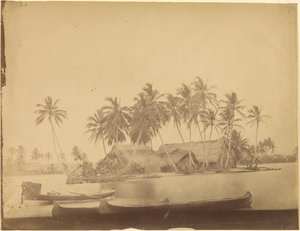 [Baia di Limón, Istmo di Darién (Panama)] da Timothy H. OSullivan