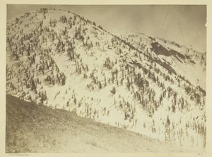 Snow Peaks, distretto minerario di Bull Run, Nevada