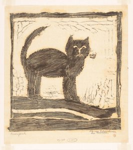 Gatto con la coda in alto