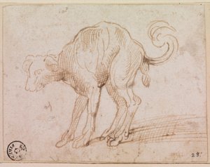 (dettaglio) di un cane che attraversa il Mar Rosso da Titian (c.1488 1576)