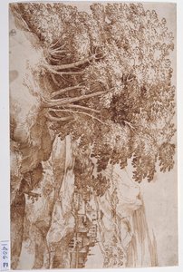 Paesaggio con alberi a sinistra e una città sullo sfondo da Titian (c.1488 1576)