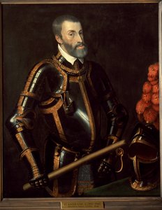 Ritratto di Carlo V, Imperatore di Germania