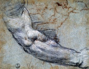Studio di un braccio, di Tiziano, disegno da Titian (c.1488 1576)