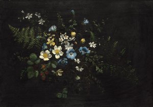 Ramo di fiori e felci, data sconosciuta da Titian Ramsay Peale