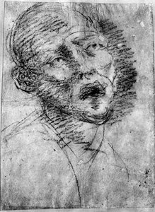 Testa di un Moro, c1525 da Tiziano Vecelli