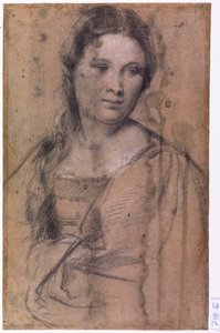 Ritratto di una giovane ragazza da Tiziano Vecelli