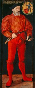 Ritratto del portabandiera di Zurigo Jacob Schwytzer, 1564