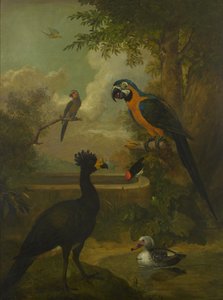 Ara e altri uccelli in un paesaggio da Tobias Stranover